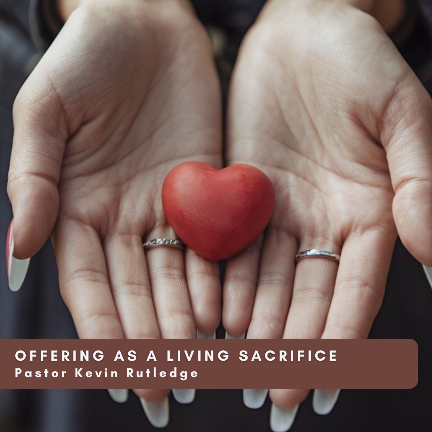 Offering as a Living Sacrifice from the Worship with Rejoicing Series
